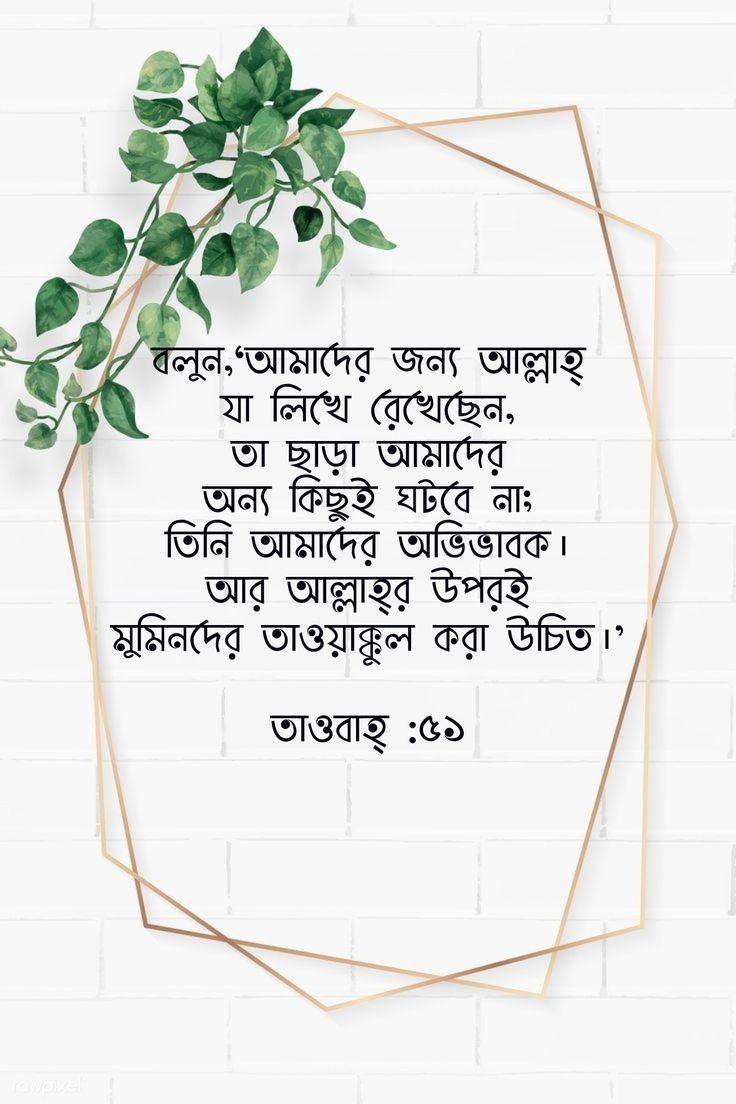 3563f706252befb6d15dd6c847d54763